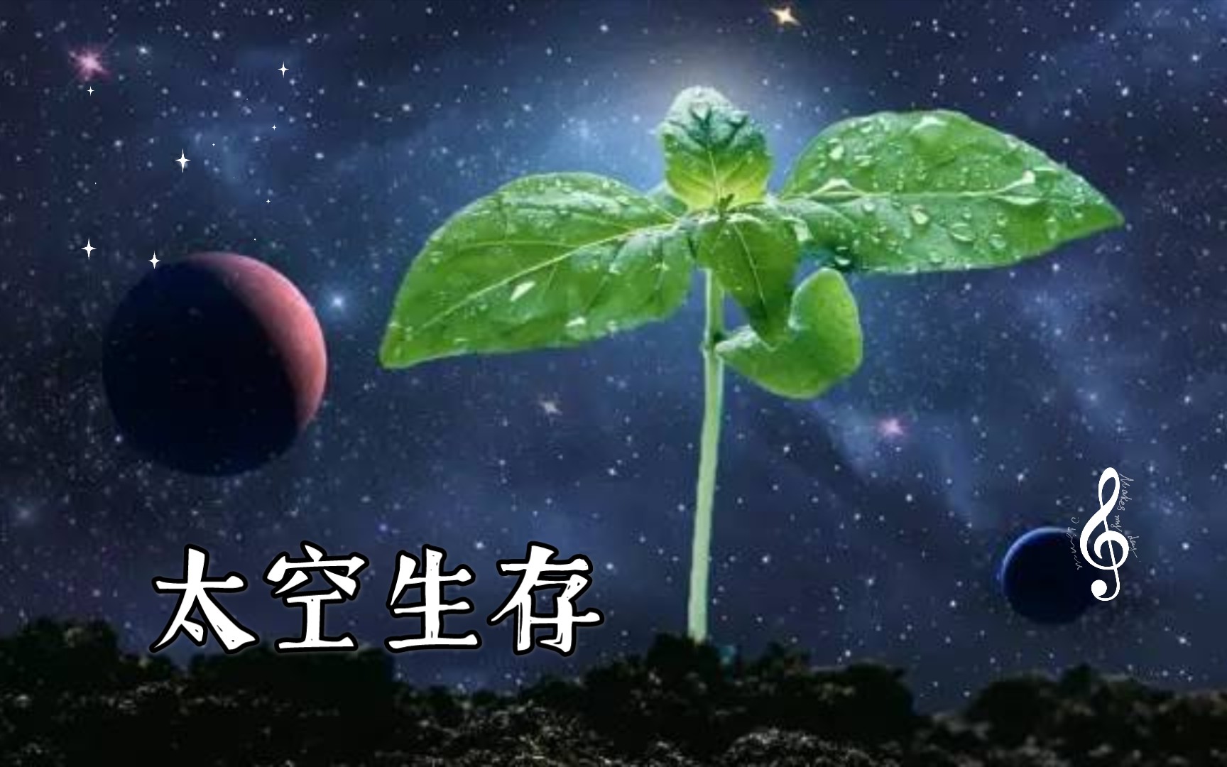 【植物百科】太空中如何种植物?空间站生存,太空生存,太空植物哔哩哔哩bilibili