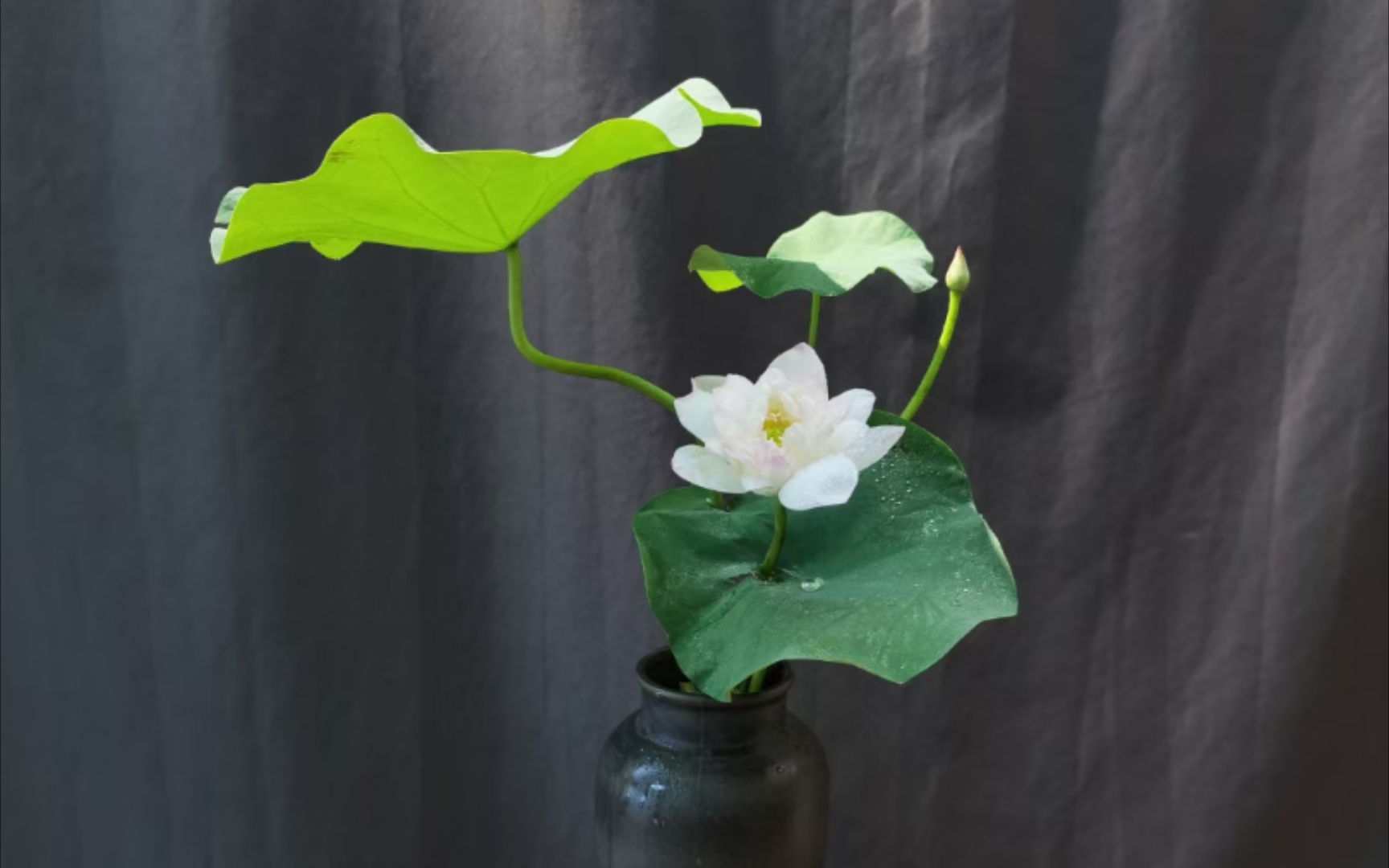 中式插花——大暑