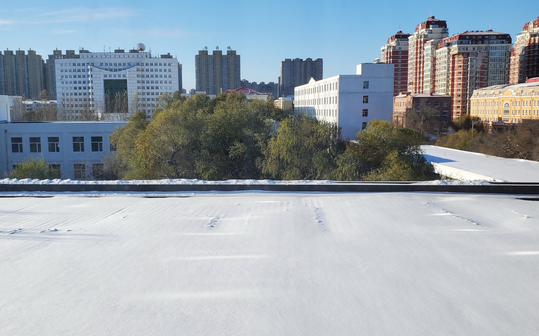 佳木斯探亲(四)——雪落下的声音