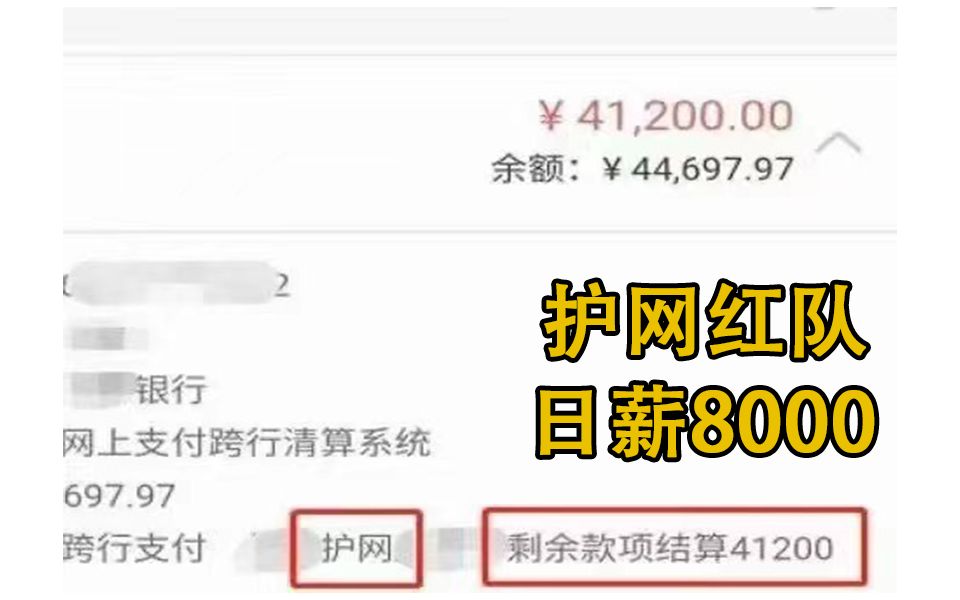 日薪8000的护网红队,大学生都应该来看看!!(网络安全/信息安全)哔哩哔哩bilibili