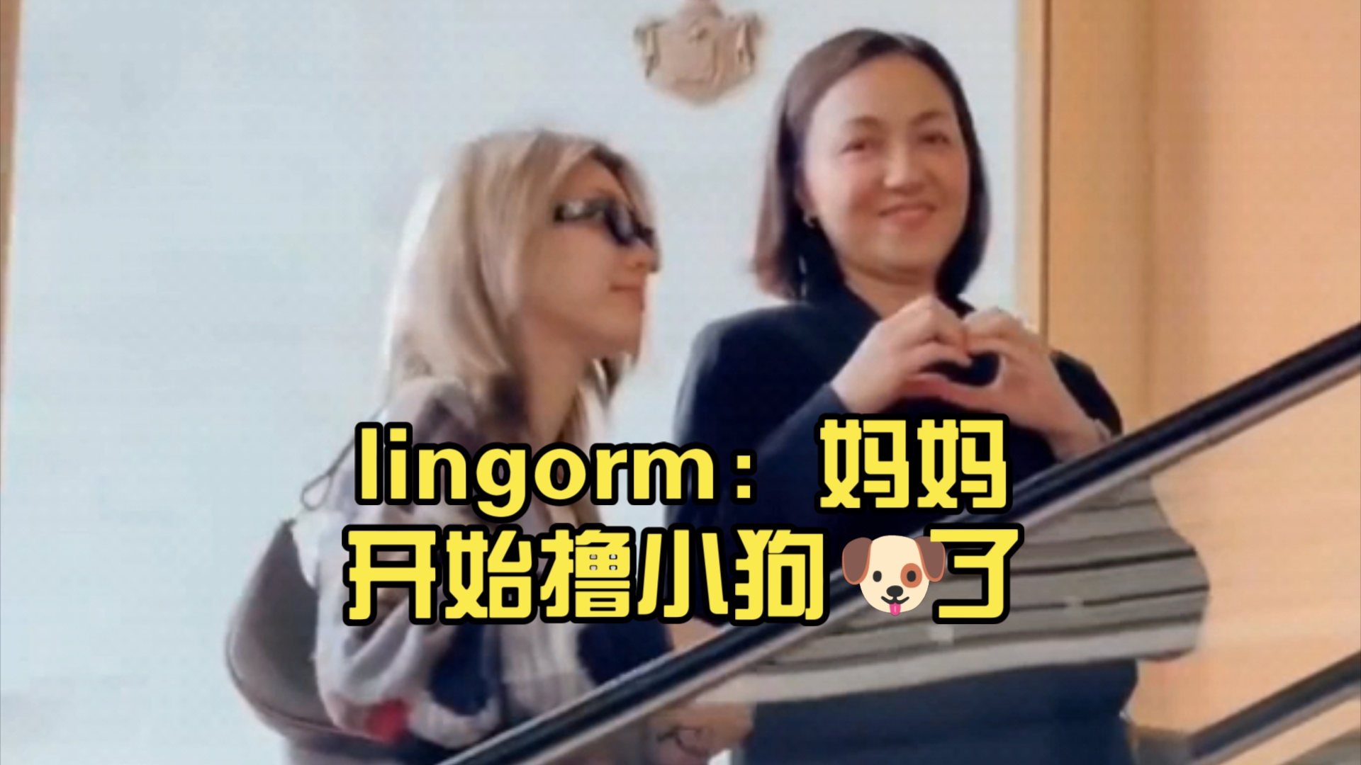 lingorm:妈妈开始撸小狗𐟐𖤺†哔哩哔哩bilibili