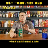 Download Video: 年销八亿瓶的酒精勾兑酒？一场中国酒蒙子们的狂欢盛宴而已