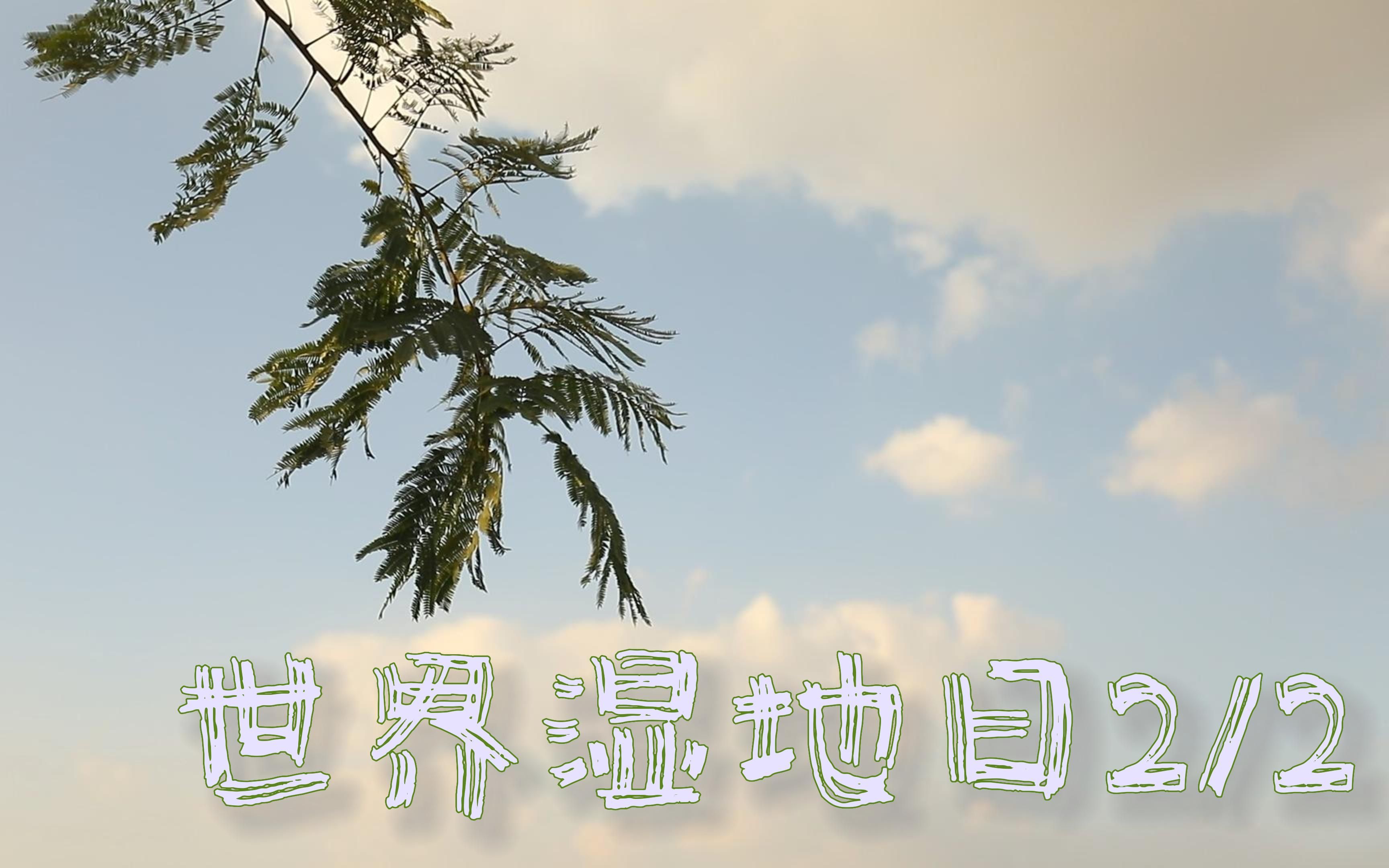 漩门湾湿地公园|世界湿地日2月2号哔哩哔哩bilibili