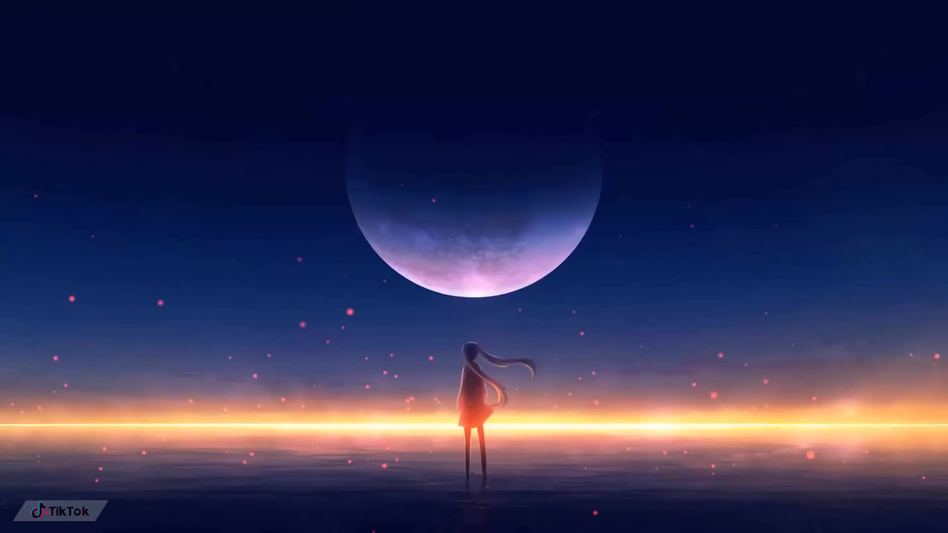 tik tok the night danny avila (歌词vietsub)79