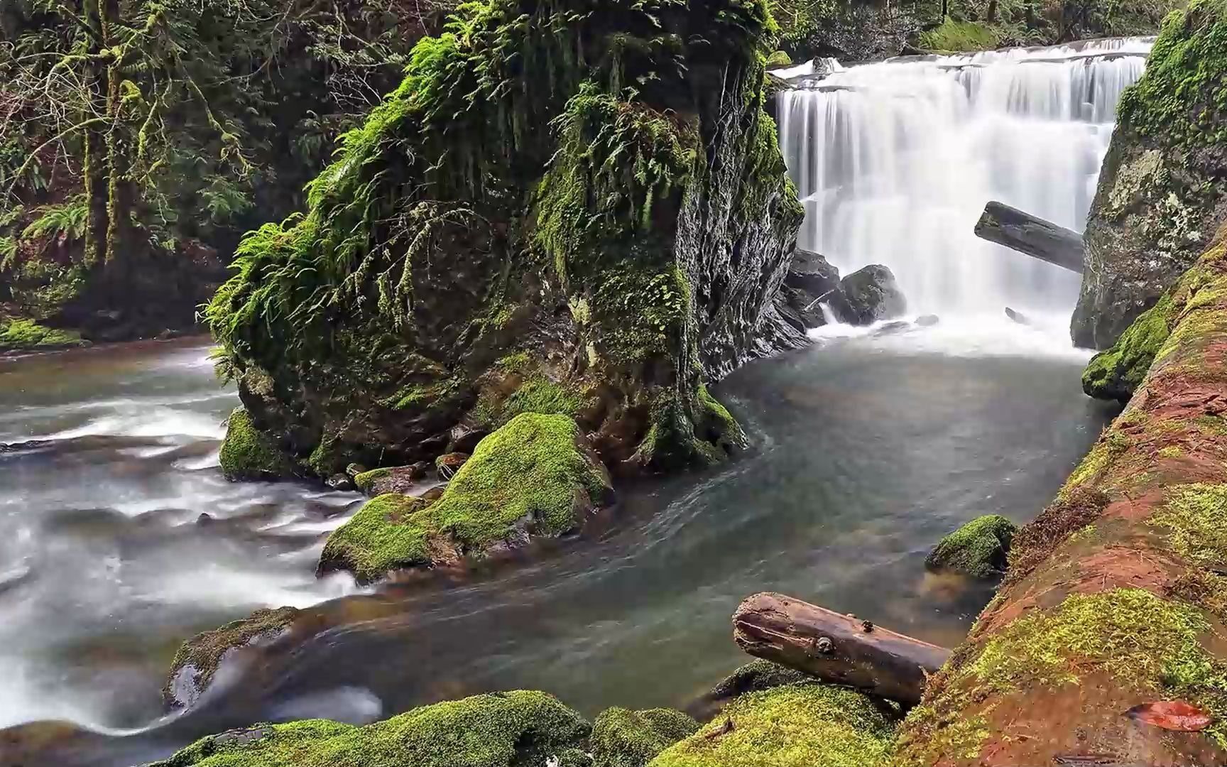 angelaaura- soma彩油塔罗—初阶