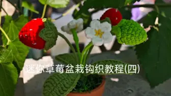 Video herunterladen: 迷你草莓盆栽钩织教程(四)