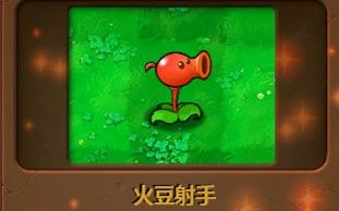 PvZ(自改植物)火豆射手!火炬与豌豆不可说的秘密!哔哩哔哩bilibili