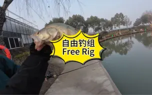 Tải video: 【哔嘟路亚】第9集 自由钓组钓free rig还挺强