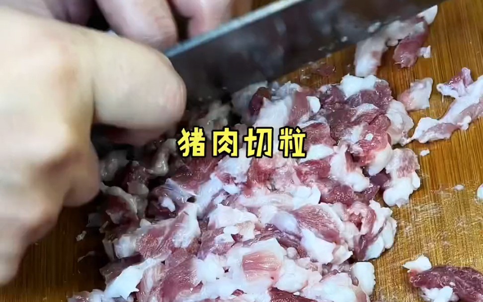 海南菜品:炸粿肉.海南一特色小吃,作法随心所欲.哔哩哔哩bilibili