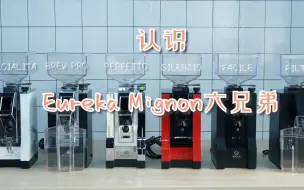 Download Video: 【好物推荐】非正式测评，家用电动磨豆机Eureka Mignon/MMG怎么区分怎么选