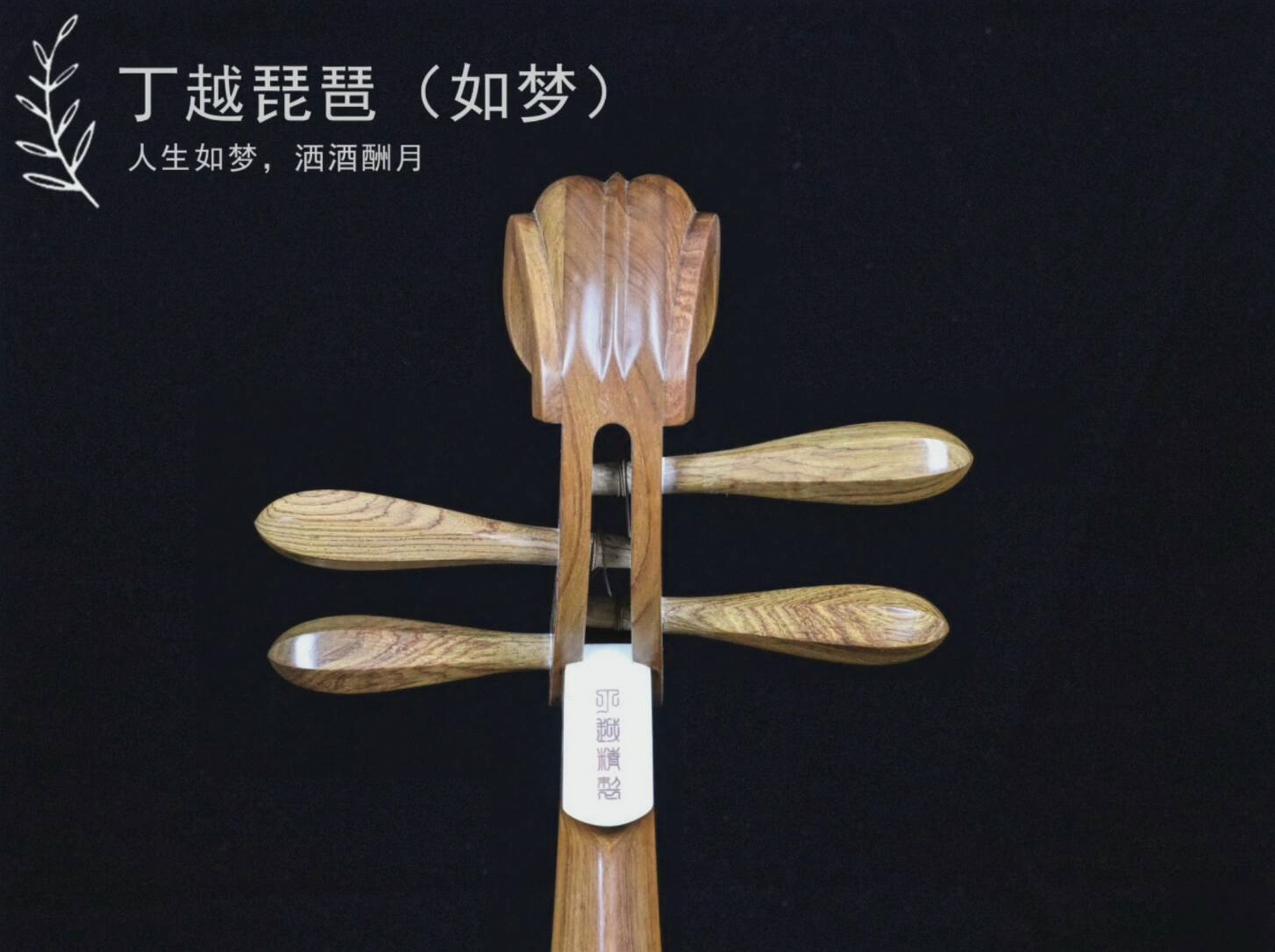 手工斫琴琵琶手中抱优雅伴我行如梦琵琶一曲双面燕洵清脆悦耳美妙动听