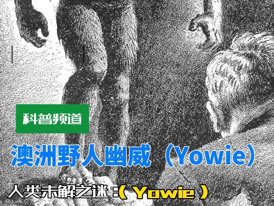 澳洲野人幽威{Yowie}哔哩哔哩bilibili