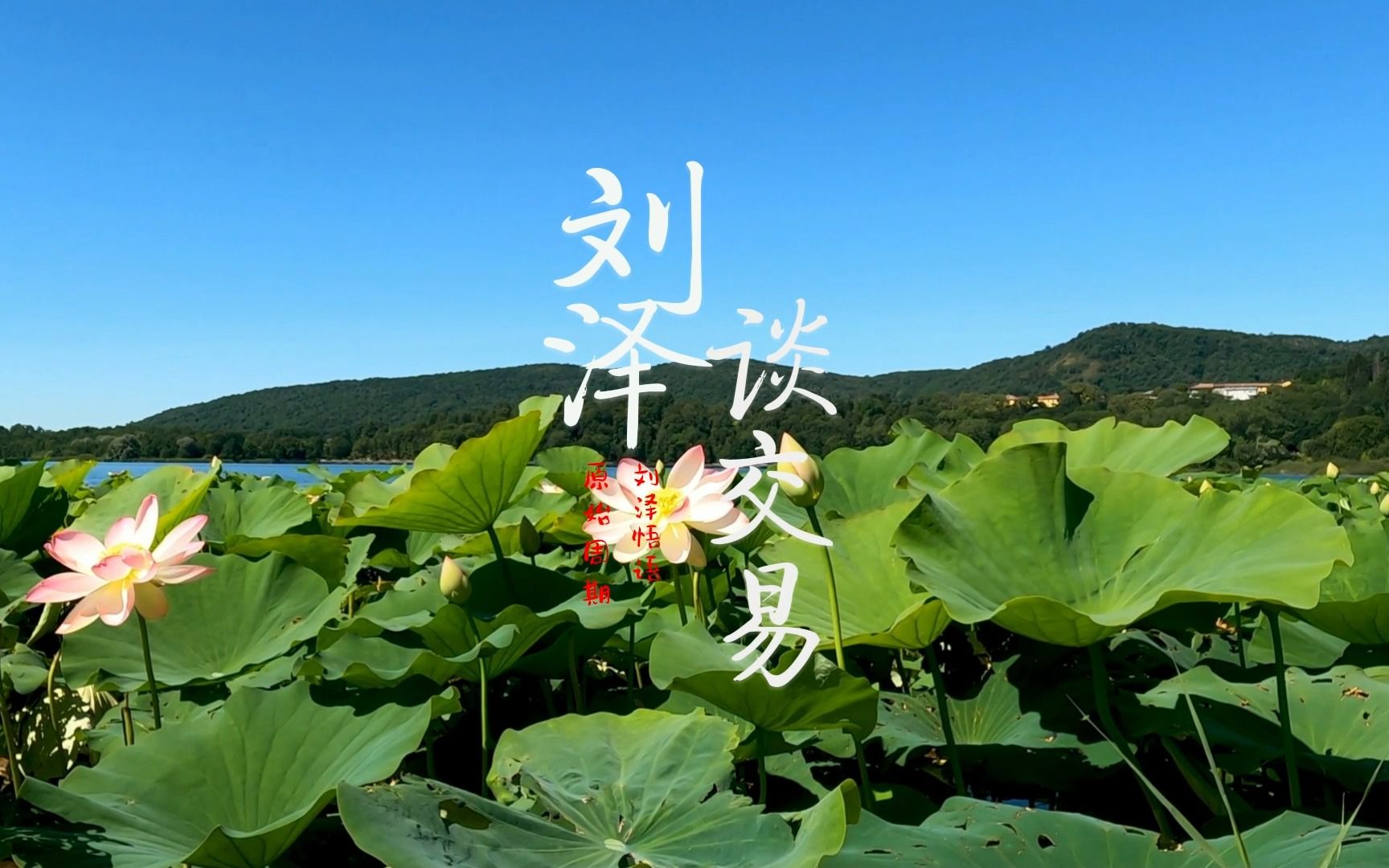 2023年6月9日,日常工作生活记录(hsi2306),抓了个巧合,见好就收