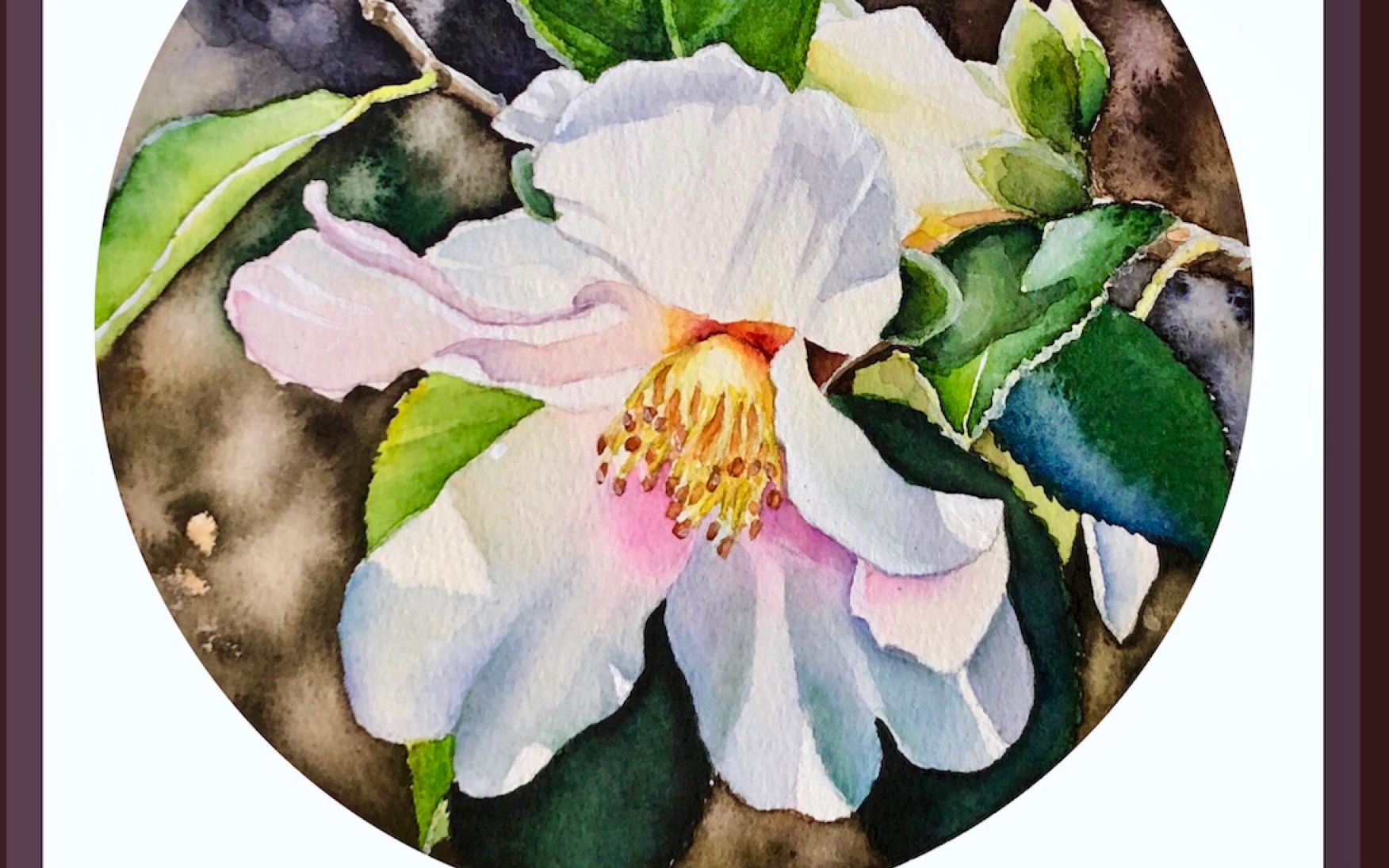 《水彩花卉》山茶花上色过程