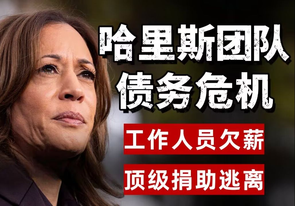 【中英双字】民主党全国委员会的林迪ⷦŽ:向哈里斯竞选团队索要 2000 万美元债务,工作人员未付工资,顶级捐助者逃离哔哩哔哩bilibili