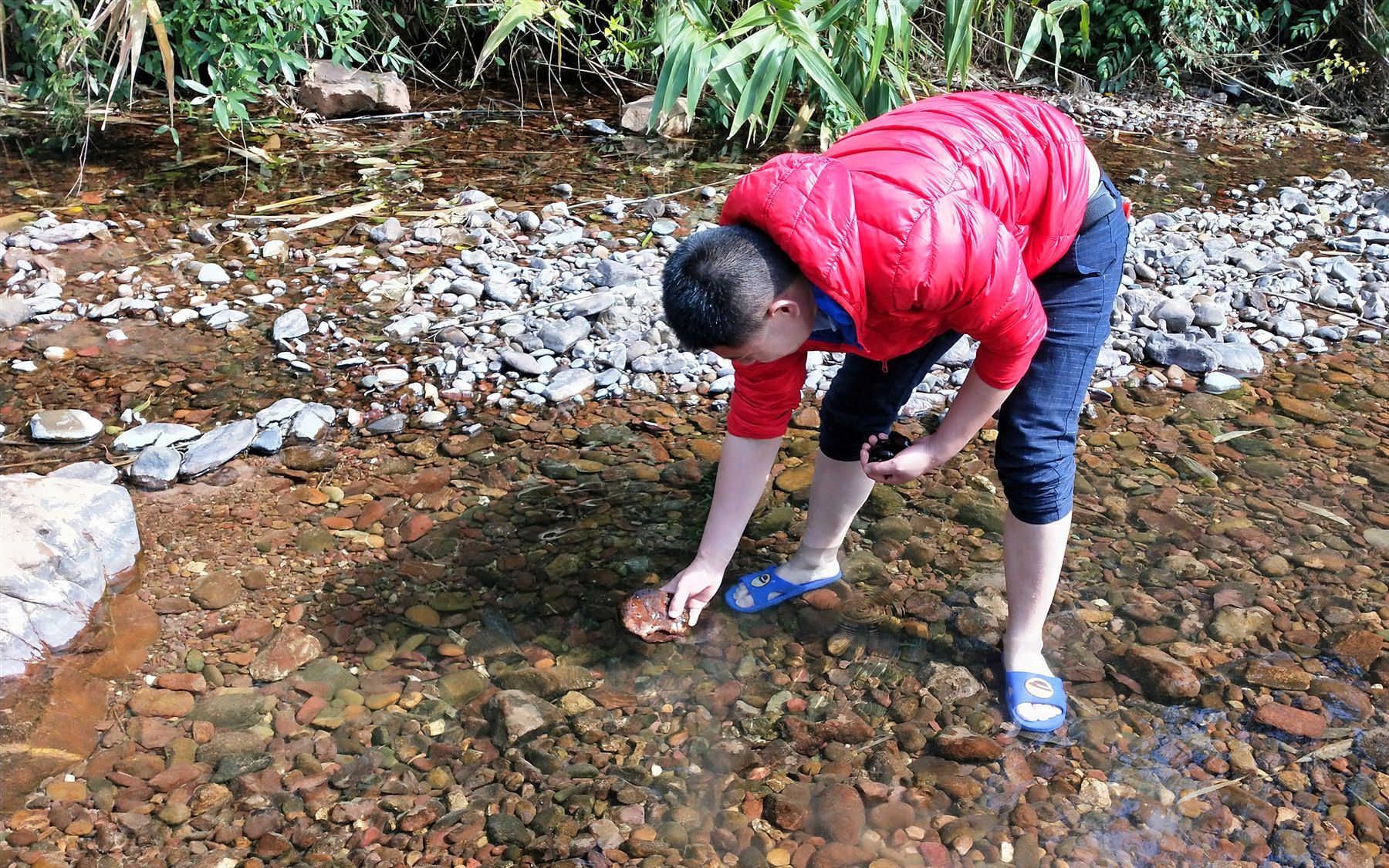 钟师傅带你领略广西10万大山,顺便摸点“野生石螺”炒来吃!哔哩哔哩bilibili