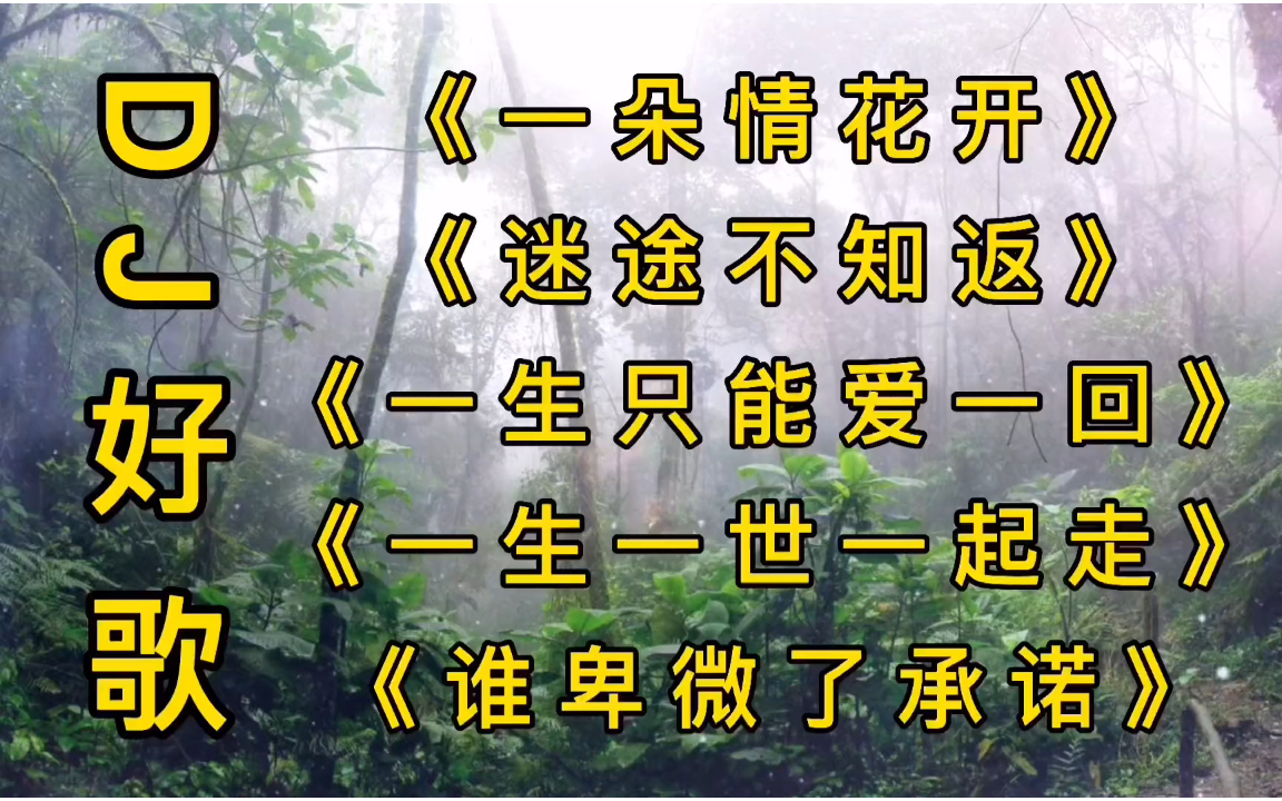 好听dj歌曲《一朵情花开》《迷途不知返》《一生只能爱一回》