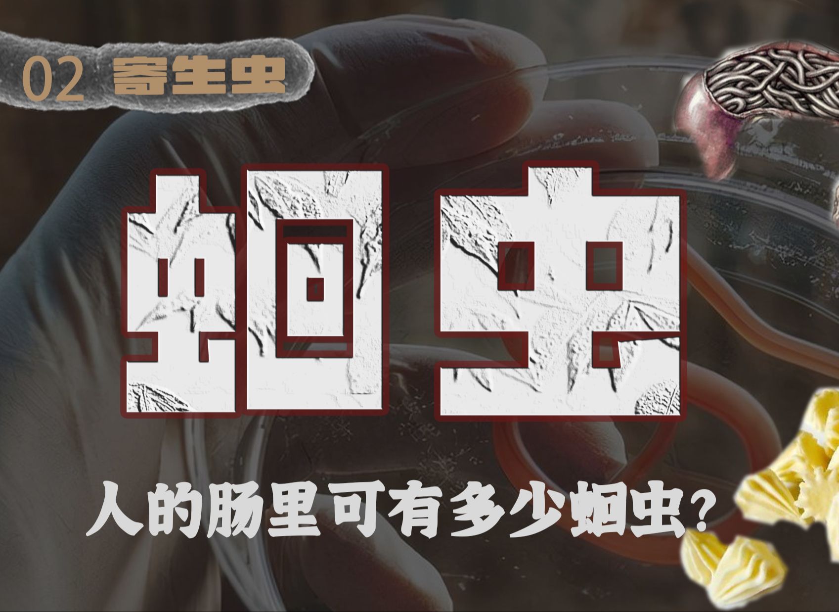 原来几乎人人都患的蛔虫病到底怎么回事?
