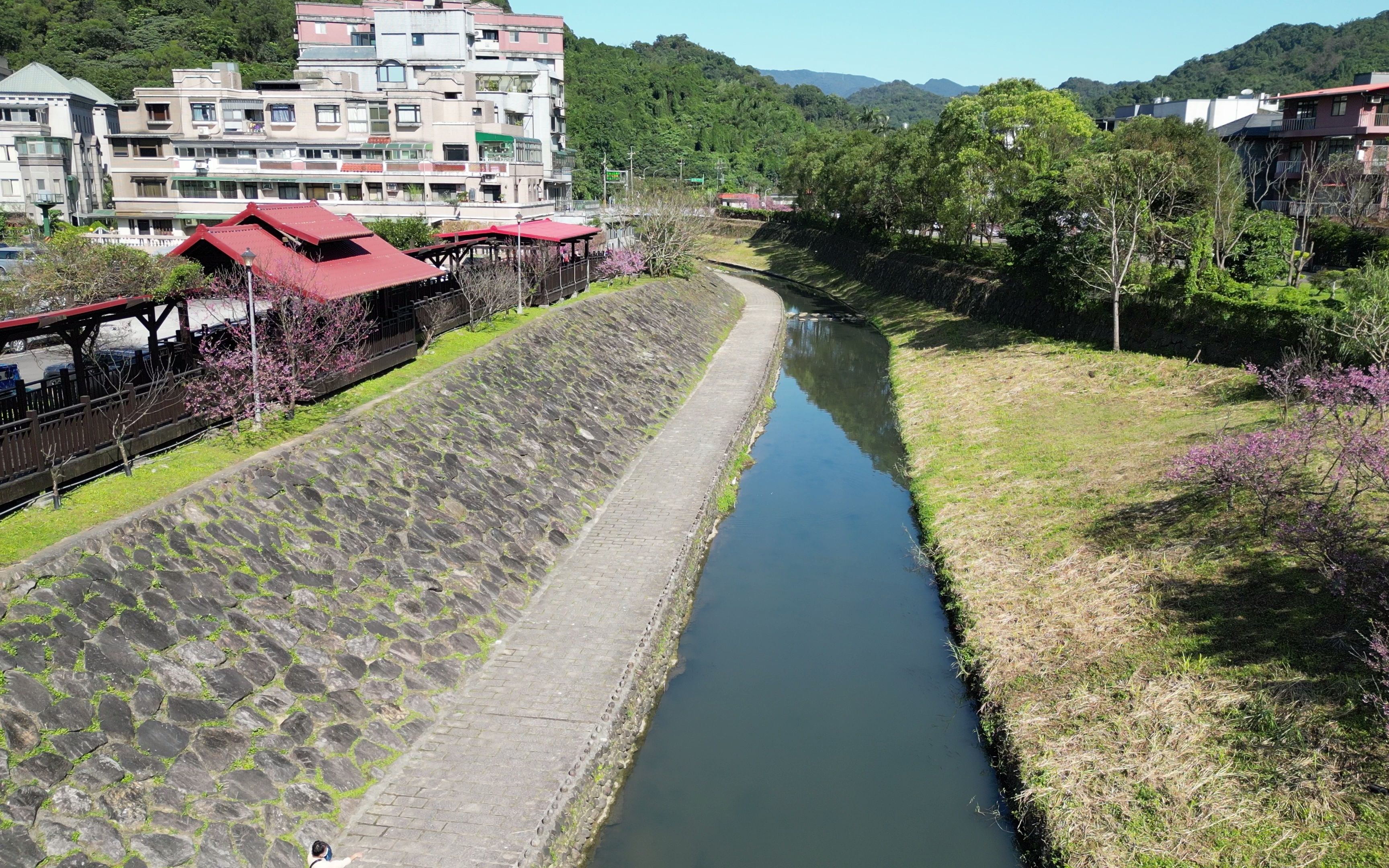 202301311046内沟溪五分埤生态湿地山樱花林巡游哔哩哔哩bilibili