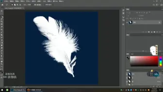 PS-羽毛抠图头发丝抠图快速多种方法抠图通道调整边缘怎么用扣白底图