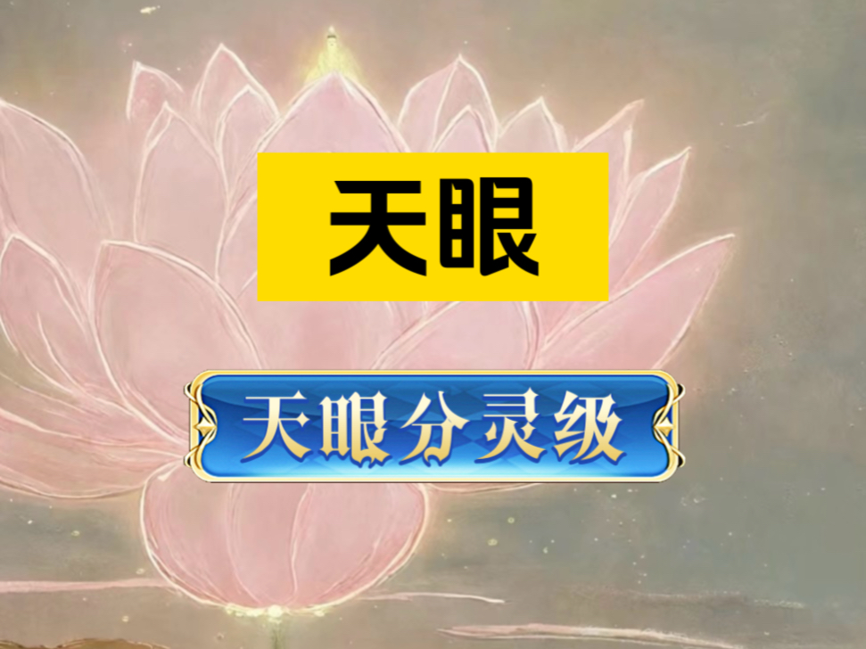 天眼 | 金玉满堂 | 东方起缘哔哩哔哩bilibili