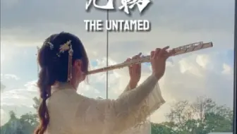 无羁｜不如坦坦蕩蕩 歷遍风和浪天涯一曲共悠揚｜长笛演奏