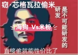 华为圣经181】国产哥:你们这群人都是没脑子的海狗.