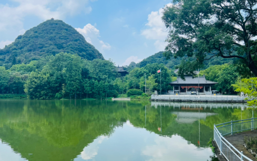 柳州都乐公园,以及千年古榕(柳州不仅有大龙潭公园)