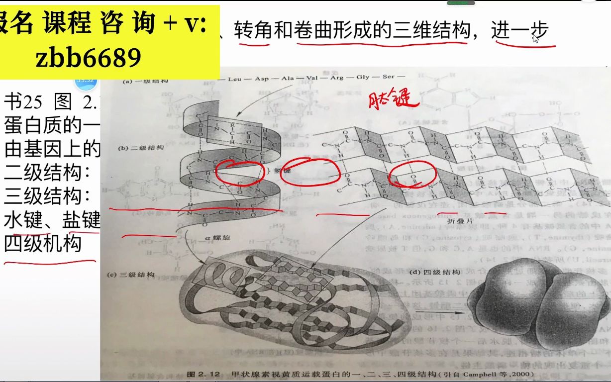 江苏五年一贯制专转本江苏第二师范学院普通生物学网课备考更方便哔哩哔哩bilibili