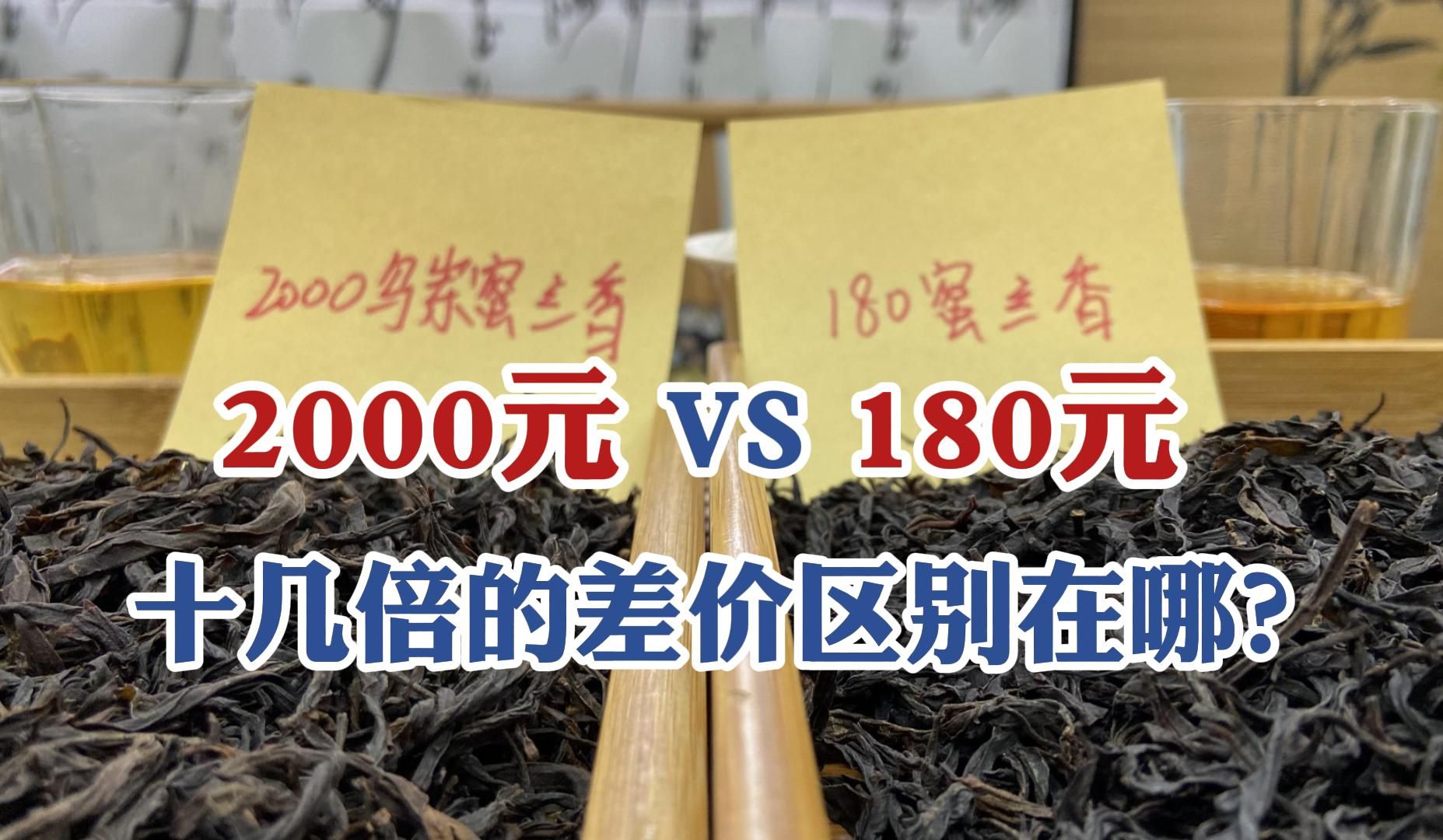 潮汕凤凰单丛测评:180元VS2000元的茶,十几倍的差价区别在哪?哔哩哔哩bilibili