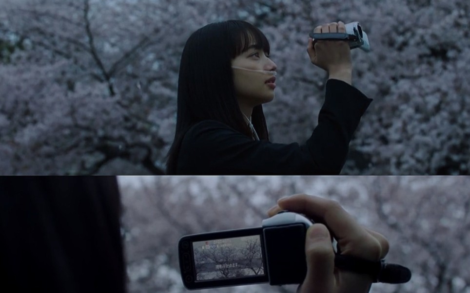 电影《余命十年》/突然一阵风,你是不是也觉得她在你身边.