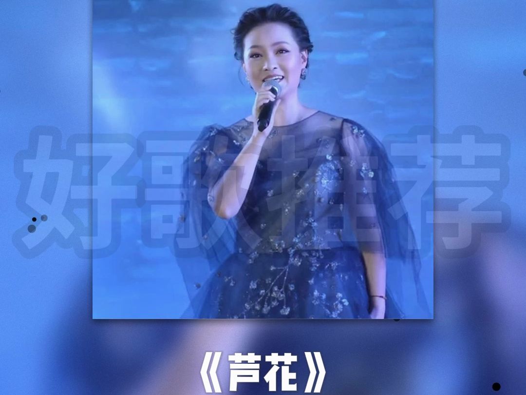 雷佳演唱,歌曲《芦花》二十年了,人们依然在听,依然为之陶醉!哔哩哔哩bilibili