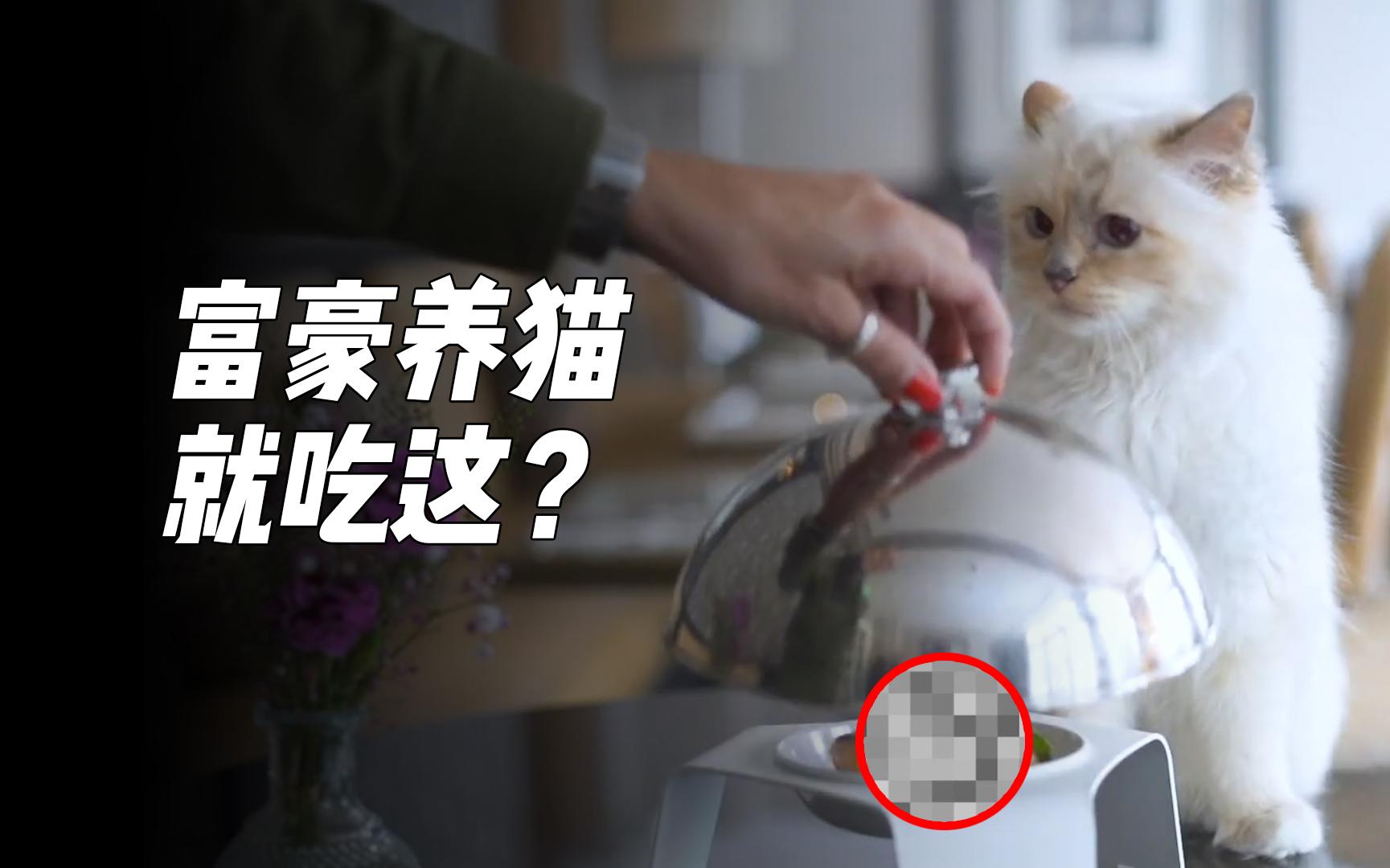 [图]意外继承21亿资产的猫吃什么粮？