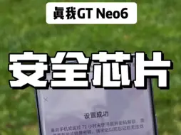 Download Video: 真我GT Neo6竟然还有安全芯片,官方都没有宣传。