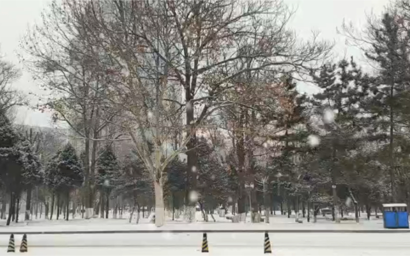 【燕大雪景】盼初雪,也盼你.和你分享2022年的第一场雪!哔哩哔哩bilibili