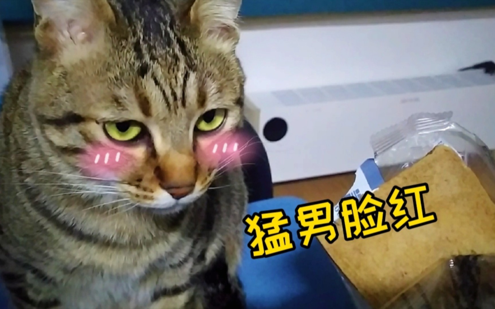 活动作品那个你手里的面包可以给我吃吗