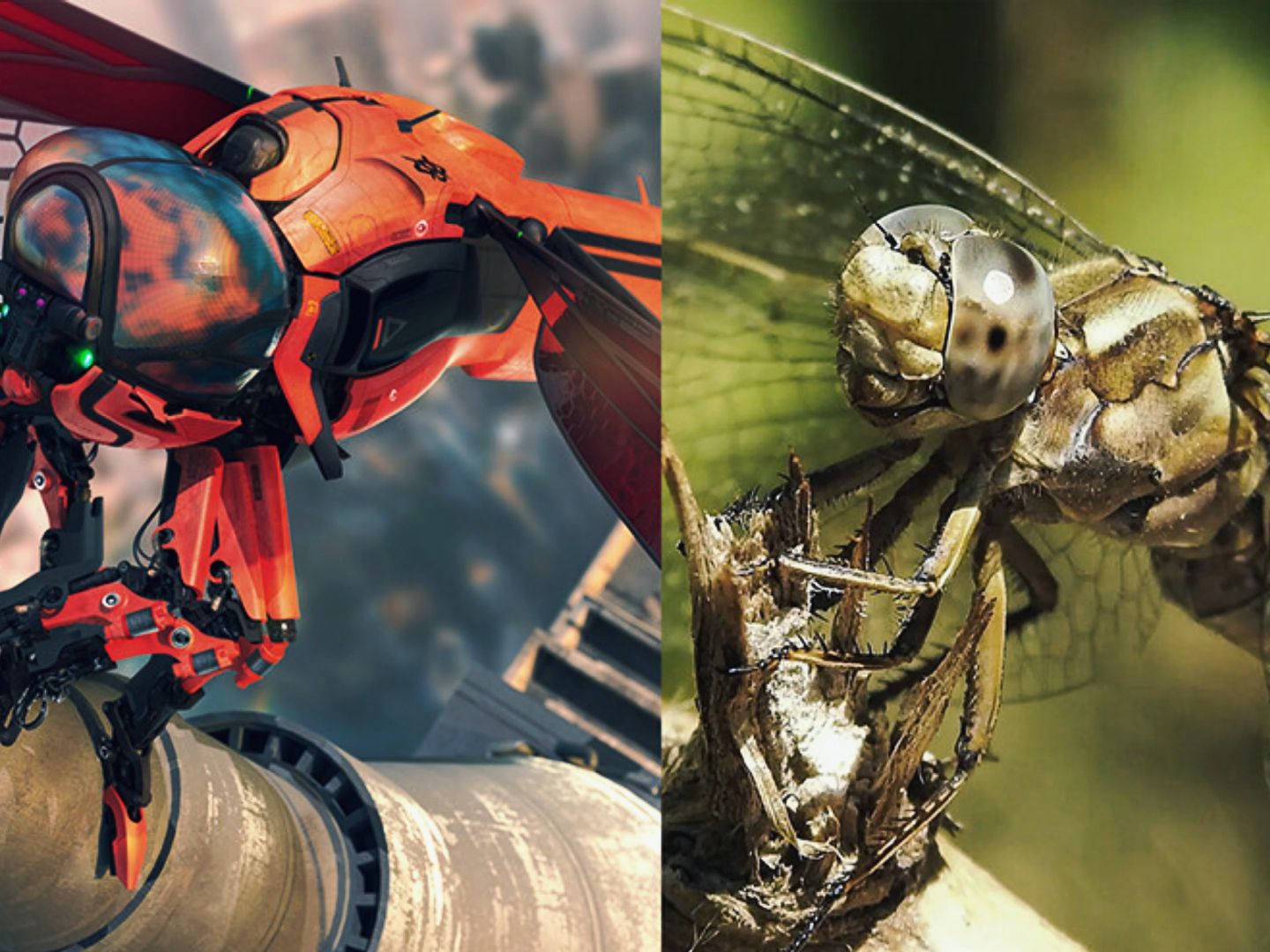 概念设计:仿生蜻蜓无人机