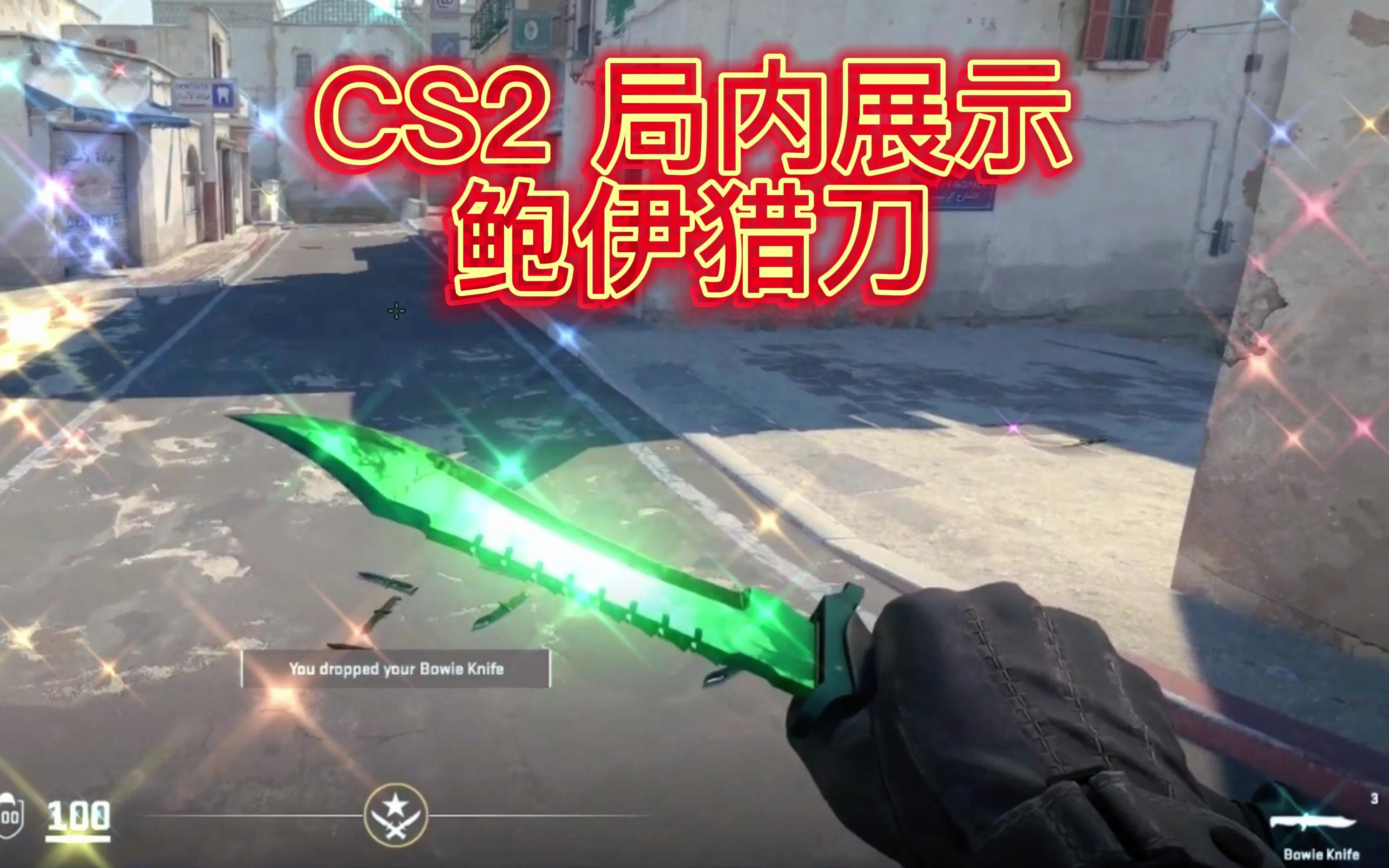 CS2 局内展示 M9 多普勒 伽马多普勒