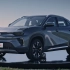 奇瑞汽车新能源EQ5(大蚂蚁)新投放的广告