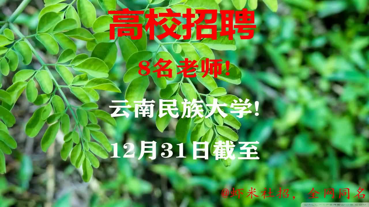 【云南高校招聘】8名老师!云南民族大学!12月31日截至哔哩哔哩bilibili