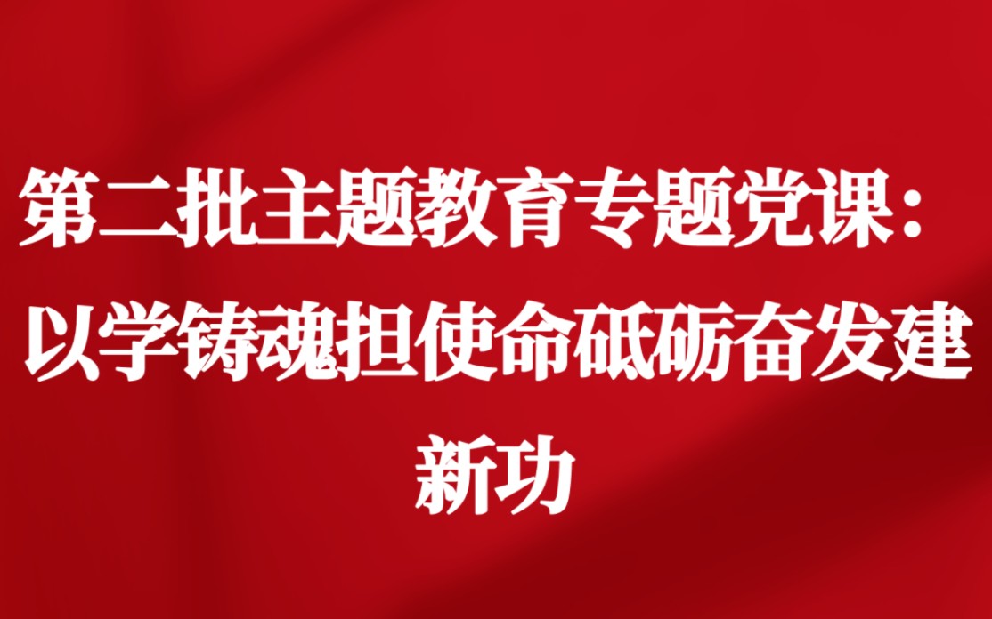 第二批主题教育专题党课:以学铸魂担使命砥砺奋发建新功