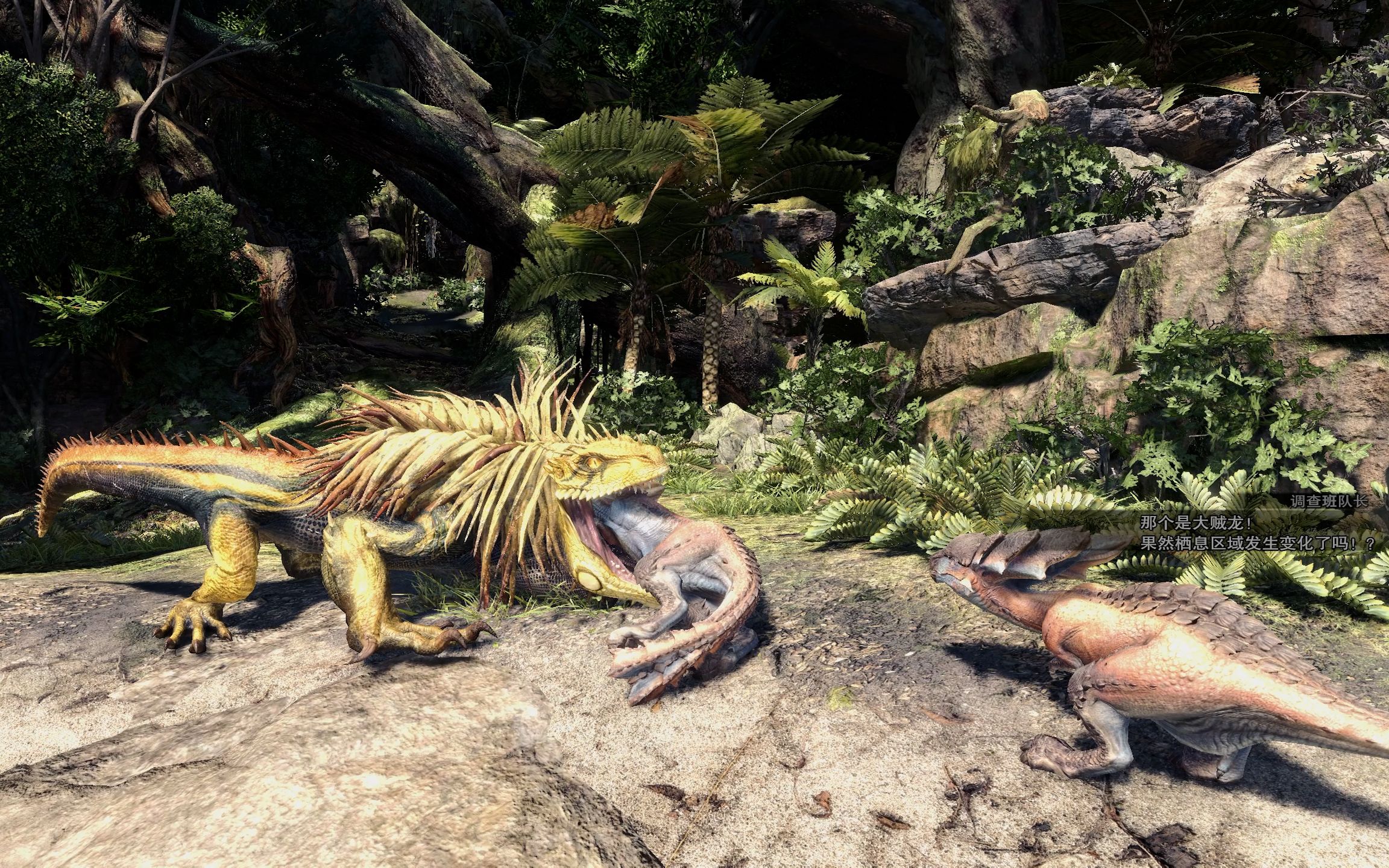 【初见】mhw萌新女猎人怪物猎人世界拳打脚踢冠突龙,大锤爆锤大贼龙