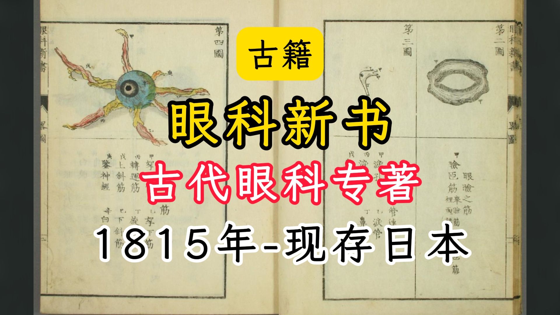 古籍眼科新书据说此书是日本人翻译荷兰人的眼科文献而著成哔哩哔哩bilibili