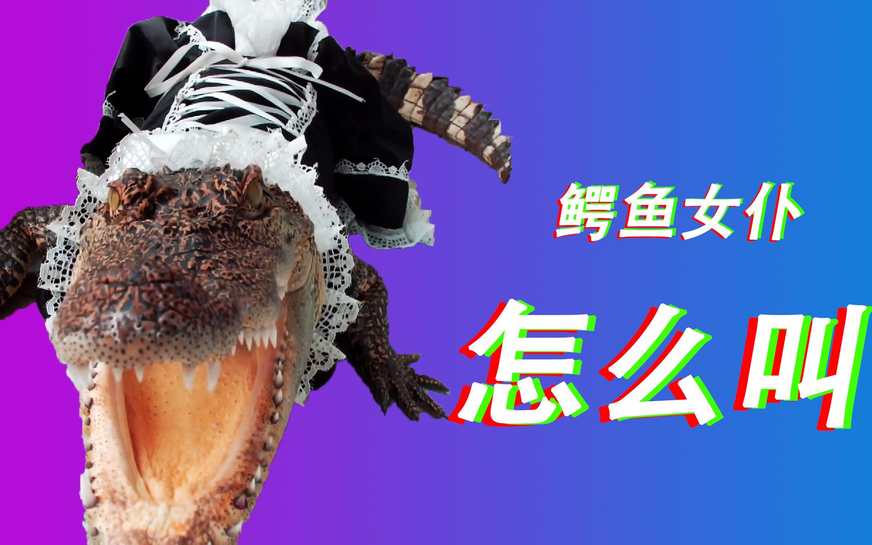 鳄鱼女仆怎么叫【鳄鱼叫声编曲】