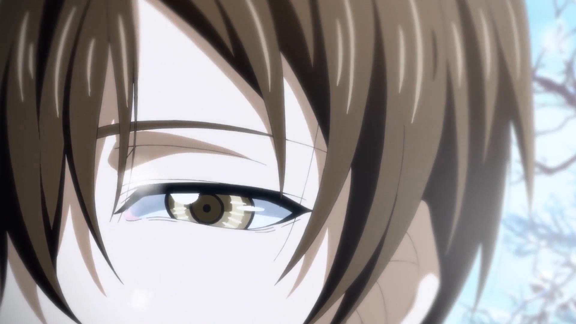 易燃易爆炸【叶修个人舔屏向】