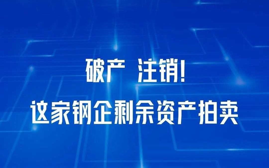 破产 注销!这家钢企剩余资产拍卖哔哩哔哩bilibili