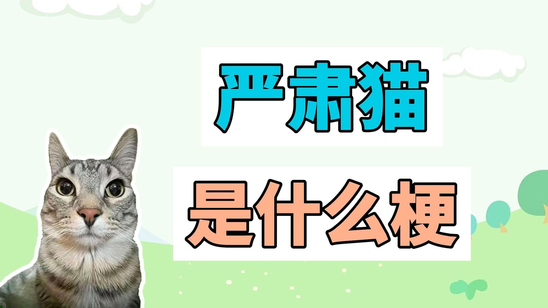 [图]严肃猫是什么梗？