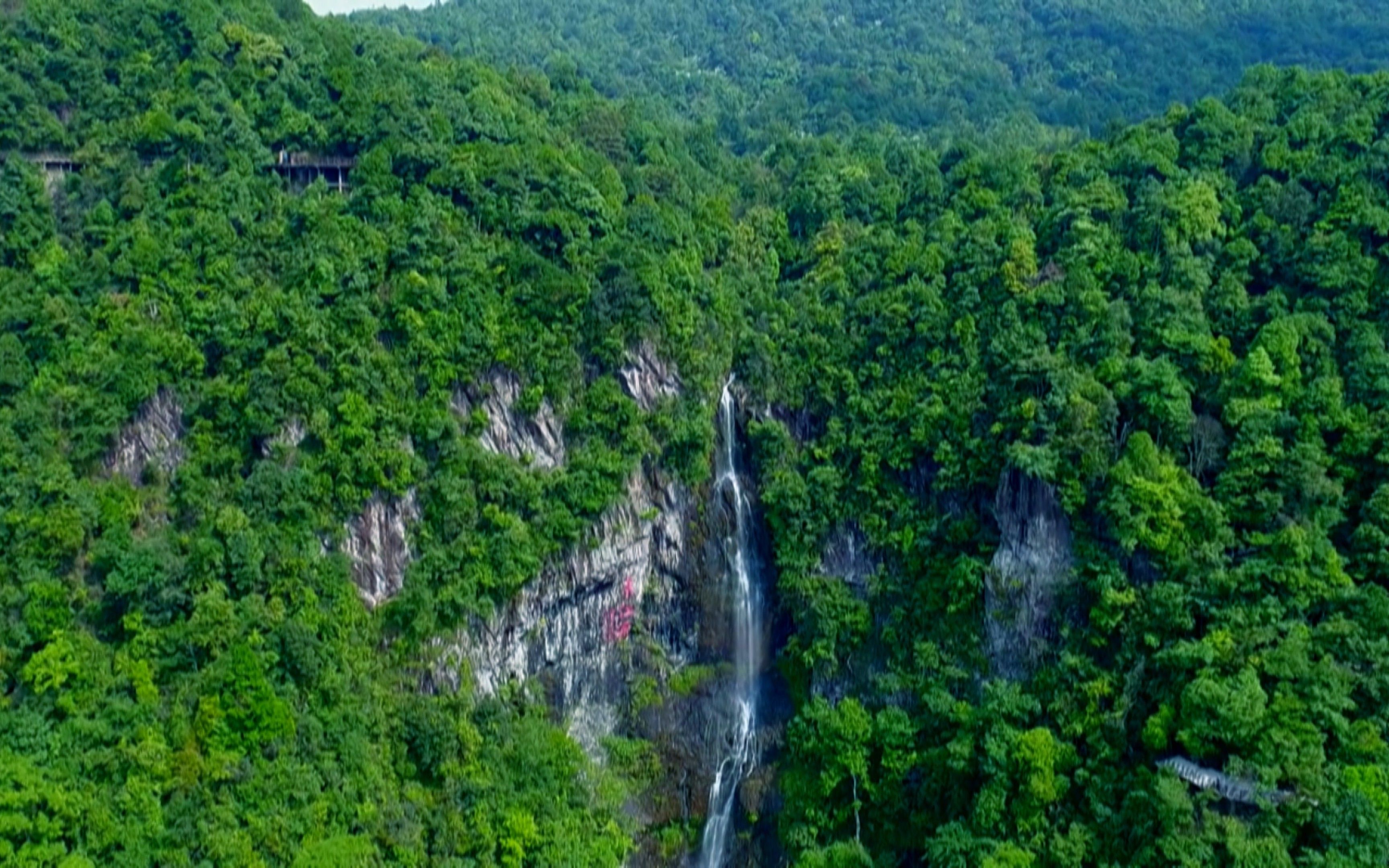 江西风景独好 ⷠ三百山哔哩哔哩bilibili