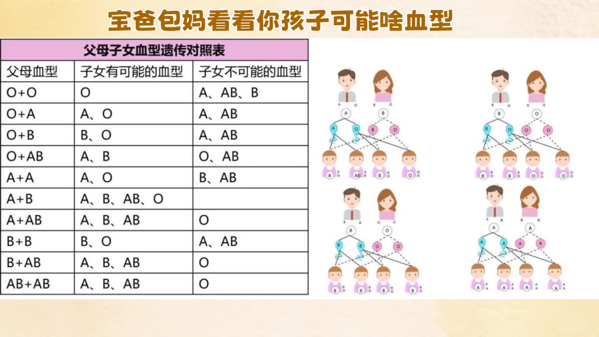 abo血型遗传图片