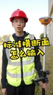 Download Video: 标准横断面怎么输入？